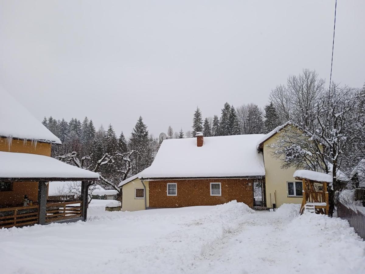 У Дядька Guest House Pilipets Eksteriør bilde